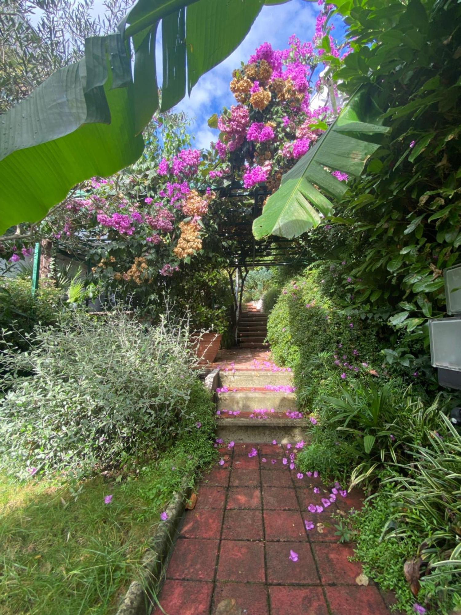 Sunny Garden Διαμέρισμα Οπατία Εξωτερικό φωτογραφία